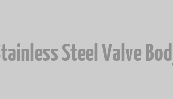 Stainless Steel Valve Body